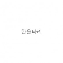 한*타*
